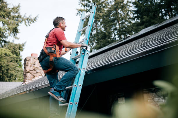 Best Roof Moss and Algae Removal  in Fallsburg, NY